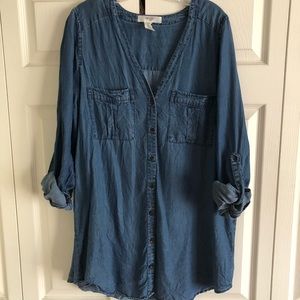 Denim oversized tee/dress